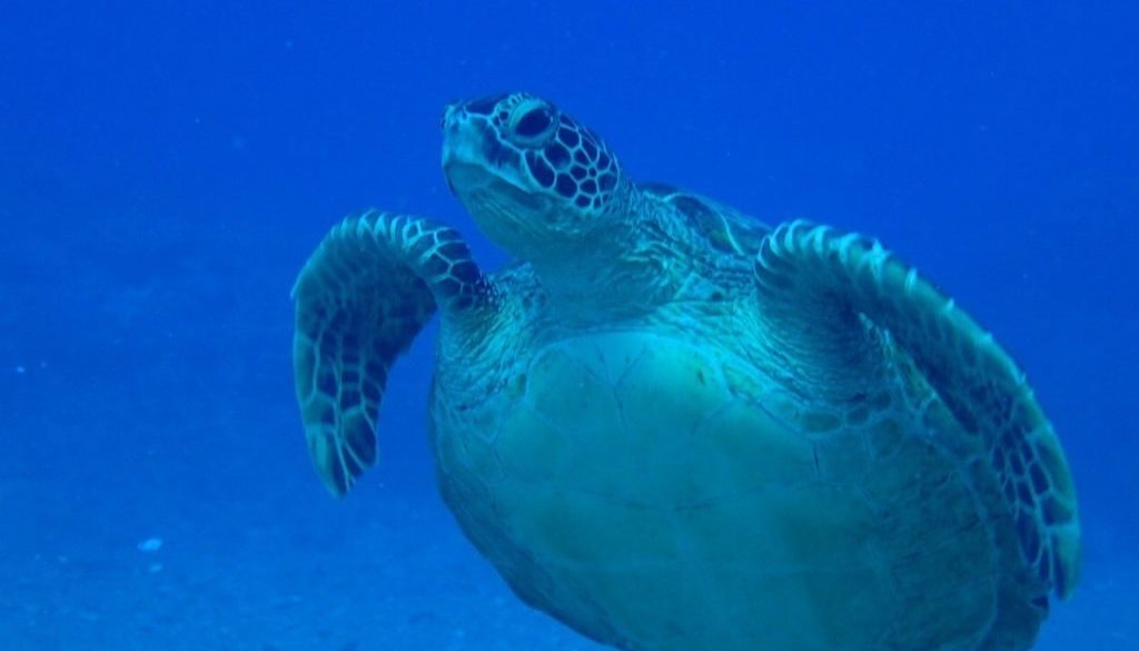 LINE_ALBUM_20247 パナウル_240729_28