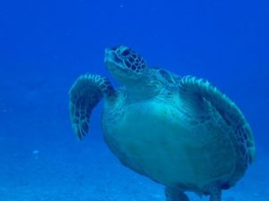 LINE_ALBUM_20247 パナウル_240729_28