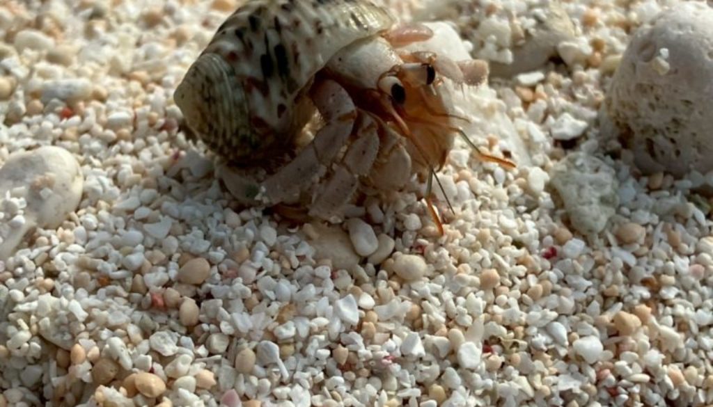 LINE_ALBUM_20250711_250712_165