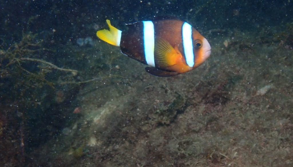 LINE_ALBUM_2025年夏休みトリップ_250817_29