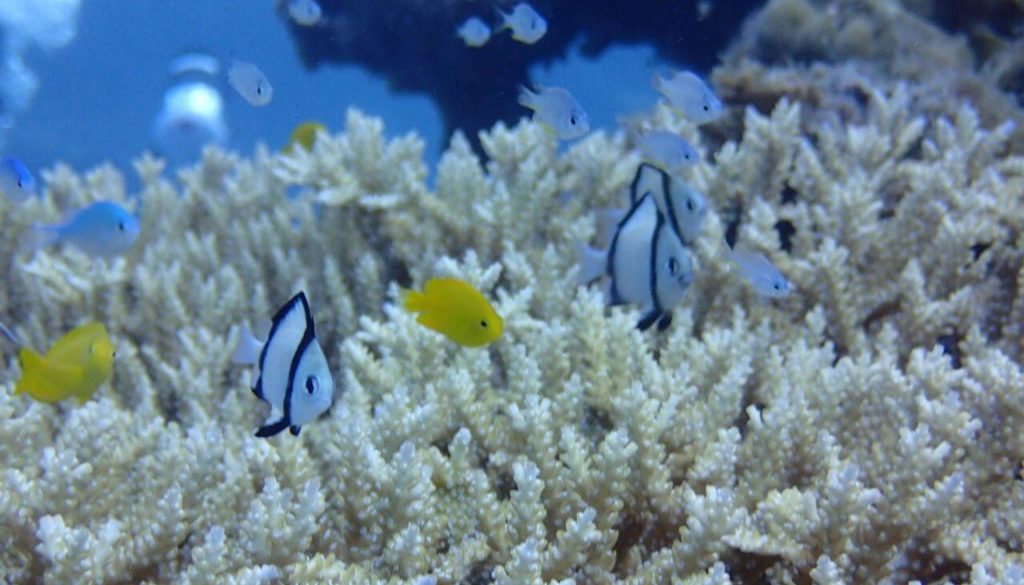 2020／10ヤンバルツアー_201014_143