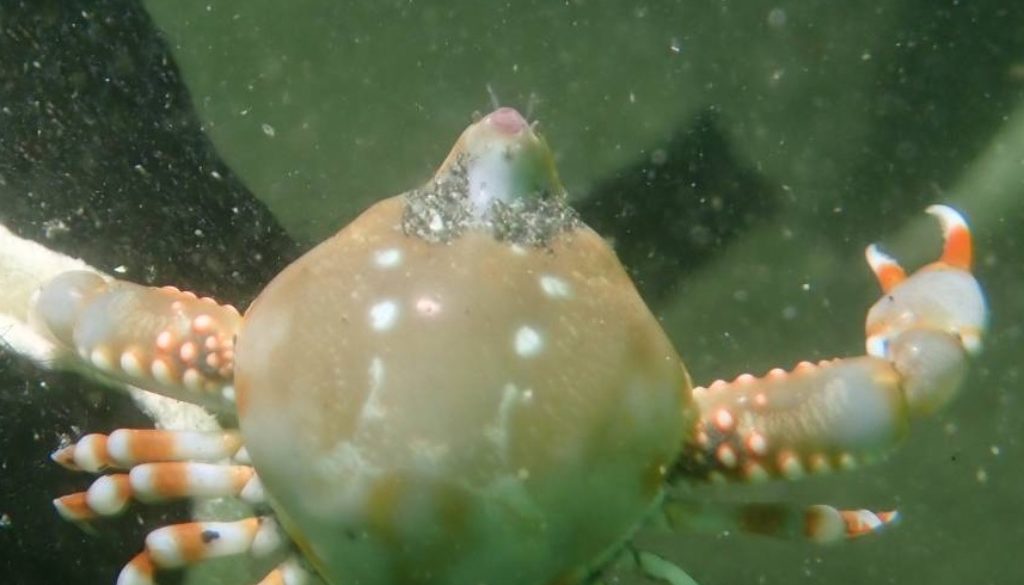 line_oa_chat_250914_142942_group_12