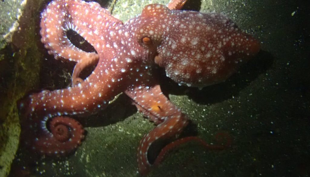 LINE_ALBUM_赤沢ナイトトリップ_2025.11.15_251126_6