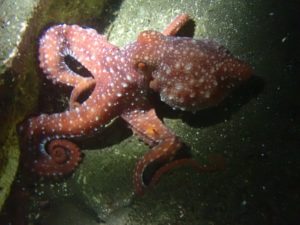 LINE_ALBUM_赤沢ナイトトリップ_2025.11.15_251126_6