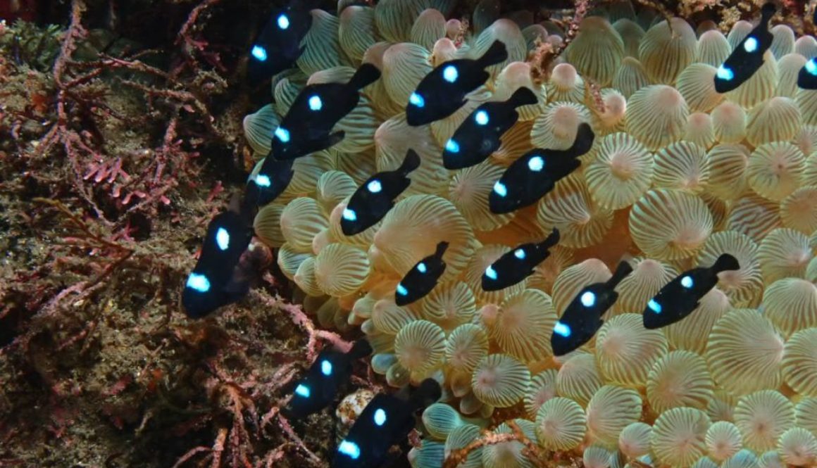 LINE_ALBUM_赤沢ナイトトリップ_2025.11.15_251126_23