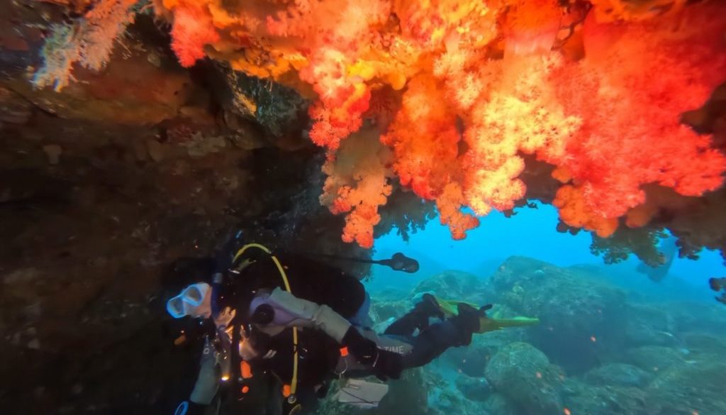 03631BA8-F8B1-4F6C-8CAA-FCBA601FD293