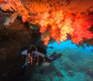 03631BA8-F8B1-4F6C-8CAA-FCBA601FD293