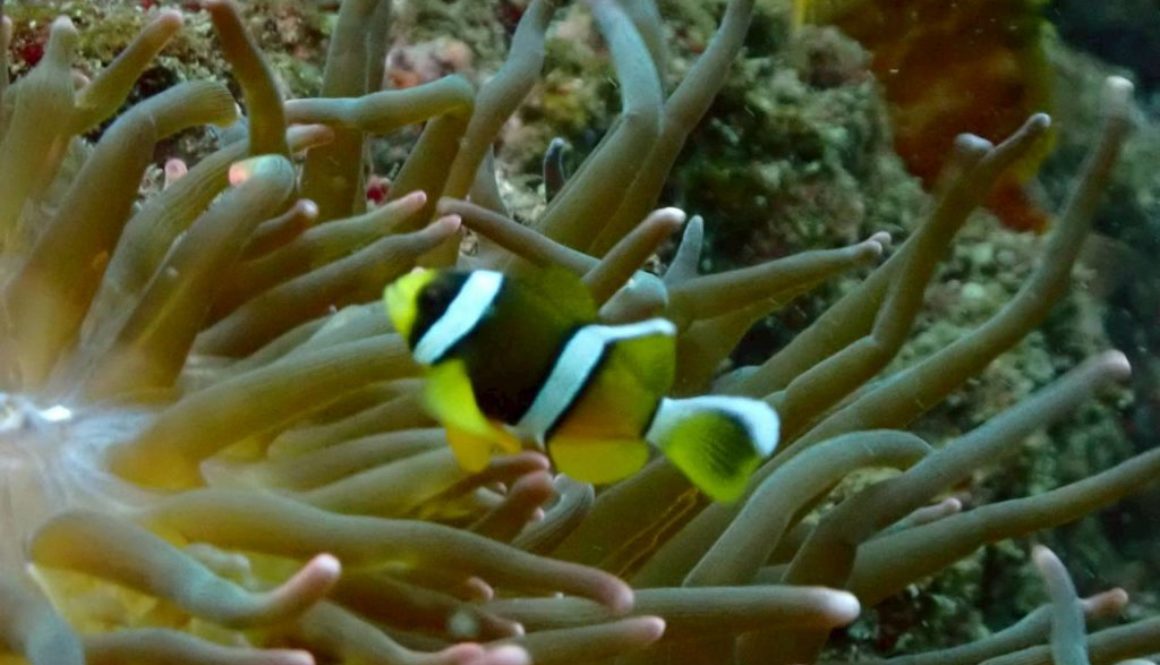 LINE_ALBUM_126(土) 城ヶ島日帰りボードトリップ_251208_8