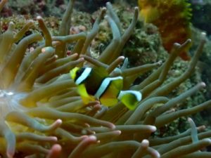 LINE_ALBUM_126(土) 城ヶ島日帰りボードトリップ_251208_8