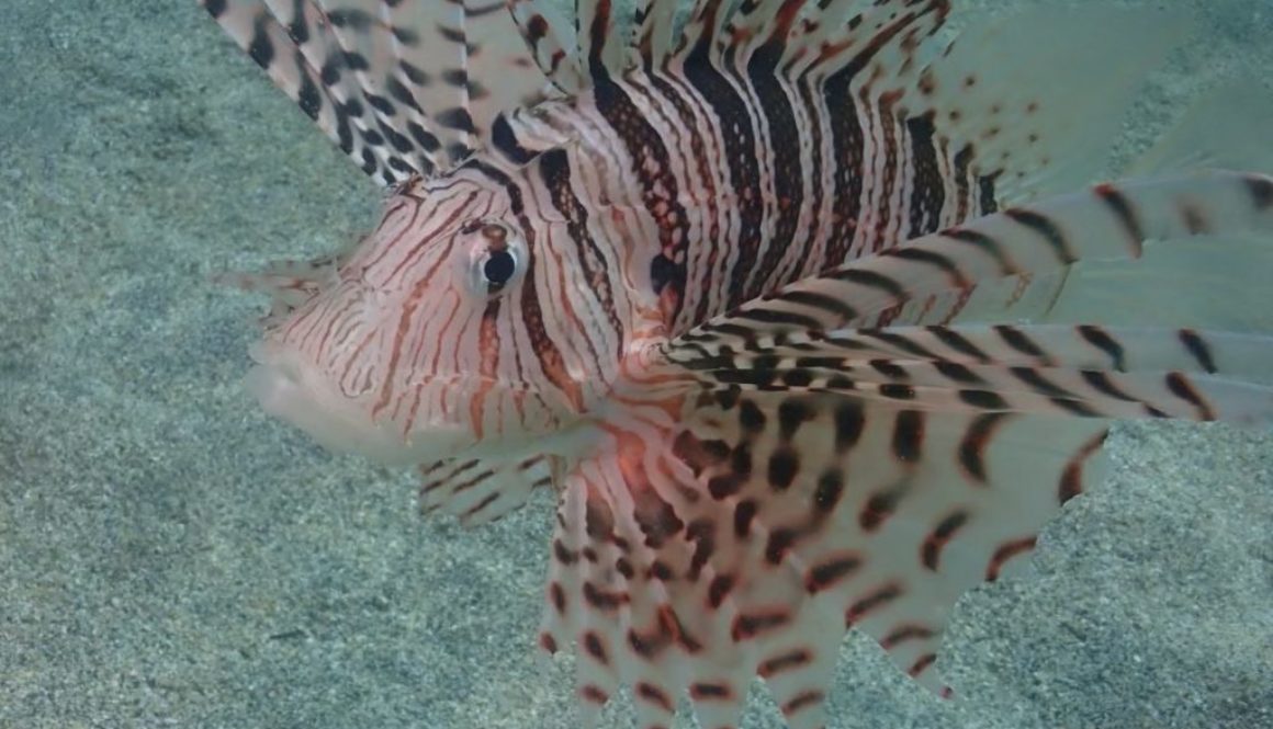 87794D3A-1AC6-440D-AA91-054780016996