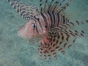 87794D3A-1AC6-440D-AA91-054780016996