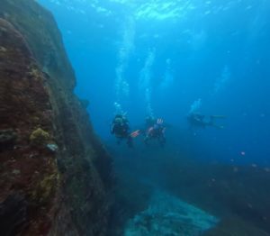 LINE_ALBUM_2025.12ビッグアイランド_251226_62