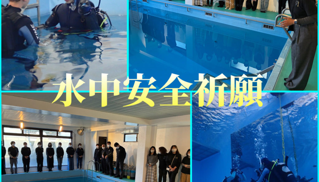 B9E2387C-F0F4-4F85-A1CC-4B88AA54C820