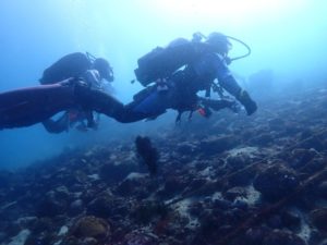 LINE_ALBUM_お正月トリップ_西浦ビーチ_251228_14