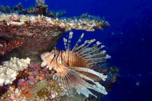 LINE_ALBUM_2025パナウル_250712_33