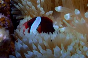 LINE_ALBUM_2025パナウル_250712_414