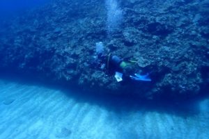 LINE_ALBUM_2025パナウル_250712_154