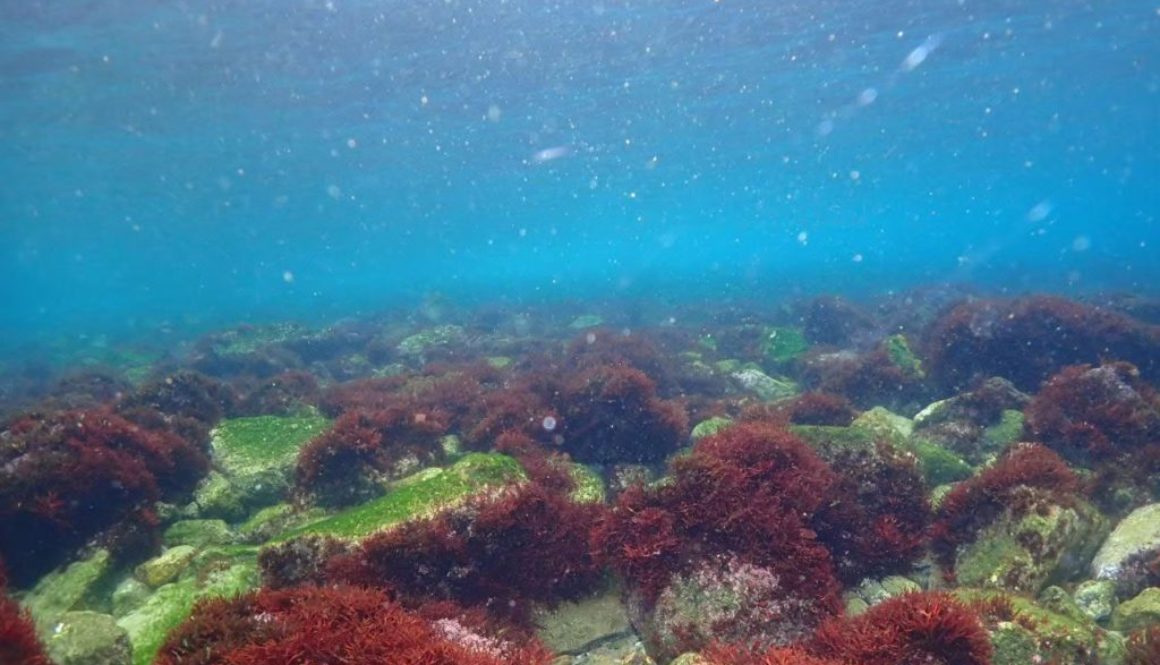 LINE_ALBUM_2025.3.8_獅子浜トレーニングトリップ_260311_1