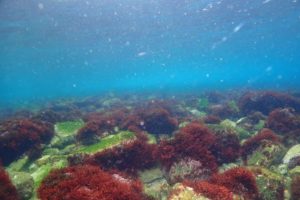 LINE_ALBUM_2025.3.8_獅子浜トレーニングトリップ_260311_1