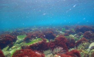 LINE_ALBUM_2025.3.8_獅子浜トレーニングトリップ_260311_1