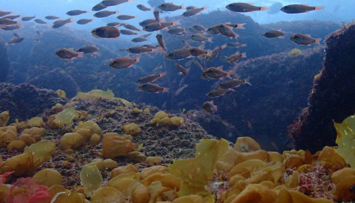 line_oa_chat_260211_205443_group_7