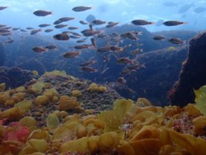 line_oa_chat_260211_205443_group_7