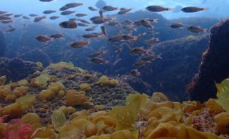 line_oa_chat_260211_205443_group_7