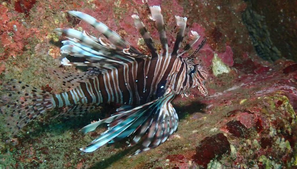 LINE_ALBUM_赤沢ナイトトリップ_2025.11.15_260312_1