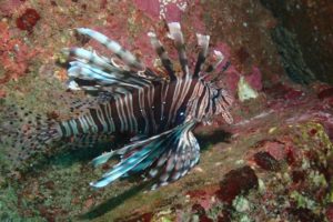 LINE_ALBUM_赤沢ナイトトリップ_2025.11.15_260312_1