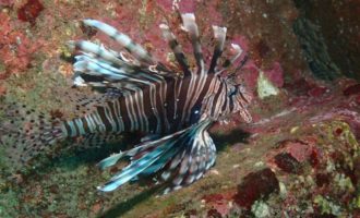 LINE_ALBUM_赤沢ナイトトリップ_2025.11.15_260312_1