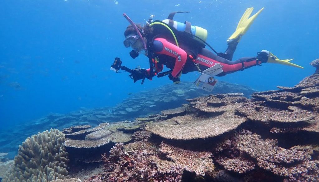 LINE_ALBUM_ヤンバルトリップダイビング2日目_2026.3.23_260323_49