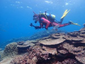 LINE_ALBUM_ヤンバルトリップダイビング2日目_2026.3.23_260323_49