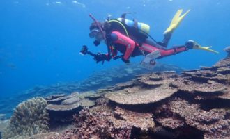 LINE_ALBUM_ヤンバルトリップダイビング2日目_2026.3.23_260323_49